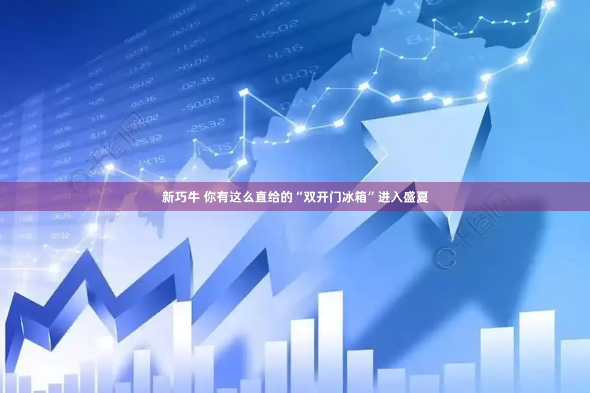 新巧牛 你有这么直给的“双开门冰箱”进入盛夏