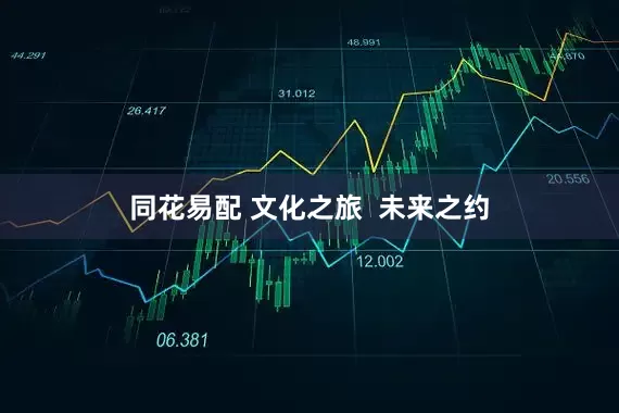 同花易配 文化之旅  未来之约