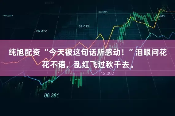 纯旭配资 “今天被这句话所感动！”泪眼问花花不语，乱红飞过秋千去。