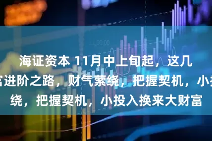 海证资本 11月中上旬起，这几个生肖踏上财富进阶之路，财气萦绕，把握契机，小投入换来大财富